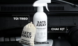 Cách phòng chống chuột ô tô hiệu quả với bộ 2 sản phẩm RATS AWAY