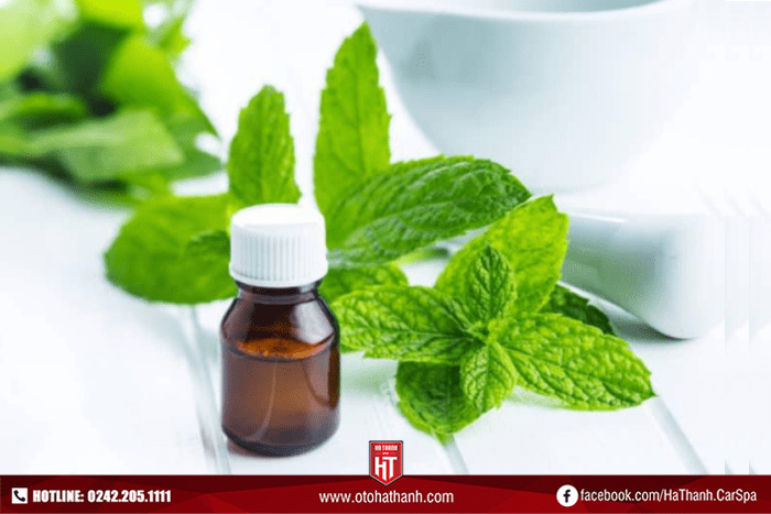 Sử dụng tinh dầu đuổi chuột để chống chuột khoang máy ô tô